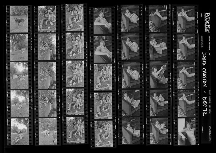 EC_DavidCassidy_009: David Cassidy