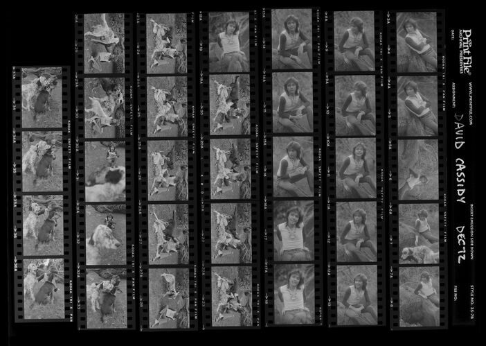 EC_DavidCassidy_010: David Cassidy