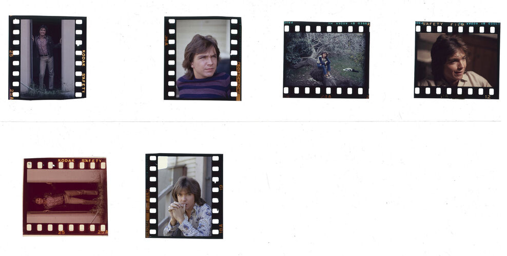 EC_DavidCassidy_017: David Cassidy