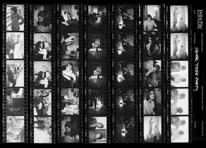 EC_FeverTree_001: Fever Tree