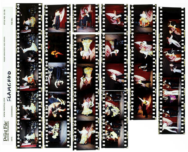 EC_Flamenco_001: Felipe De La Rosa