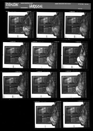 EC_Hudson_002: Hudson