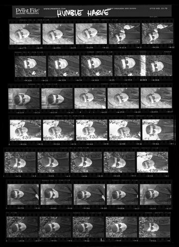 EC_HumbleHarve_001: Humble Harve