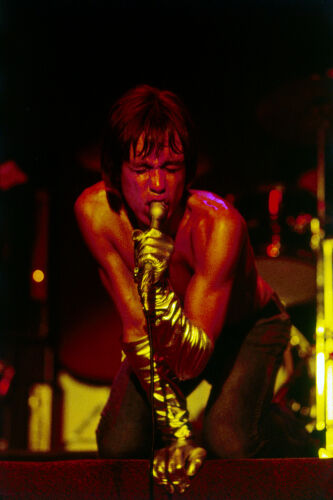 EC_IPS019: Iggy Pop & The Stooges