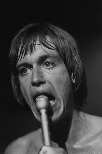 EC_IPS023_BW: Iggy Pop & The Stooges