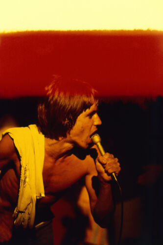 EC_IPS041: Iggy Pop & The Stooges