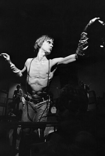 EC_IPS116: Iggy Pop & The Stooges