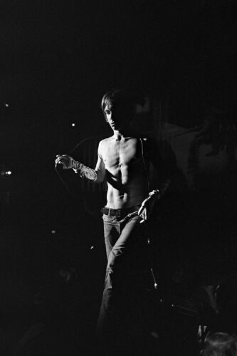 EC_IPS118: Iggy Pop & The Stooges