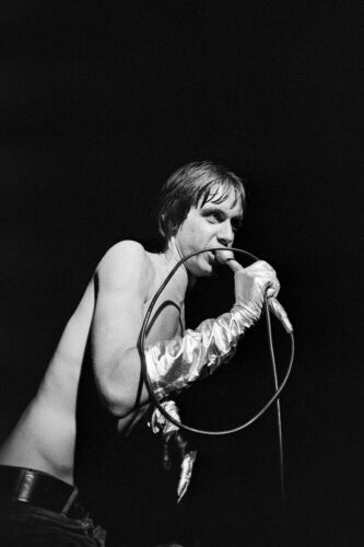 EC_IPS120: Iggy Pop & The Stooges