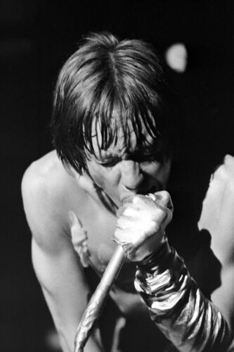 EC_IPS123: Iggy Pop & The Stooges