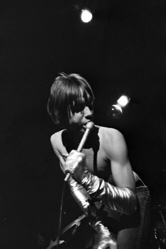 EC_IPS130: Iggy Pop & The Stooges