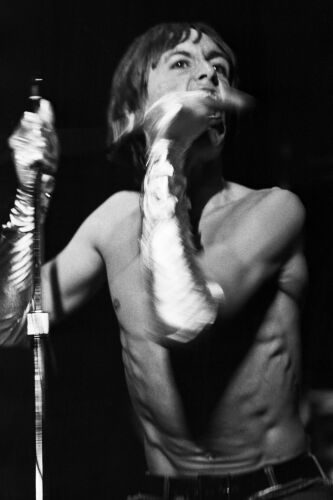 EC_IPS141: Iggy Pop & The Stooges