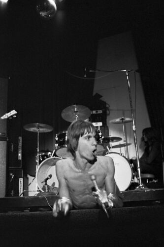 EC_IPS145: Iggy Pop & The Stooges