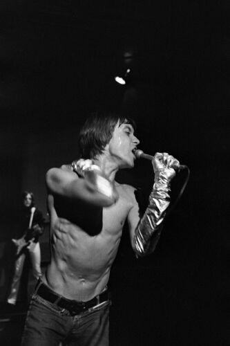 EC_IPS149: Iggy Pop & The Stooges