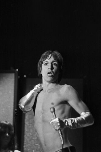 EC_IPS167: Iggy Pop & The Stooges