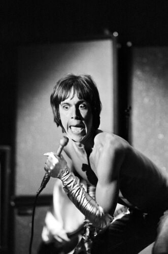 EC_IPS169: Iggy Pop & The Stooges