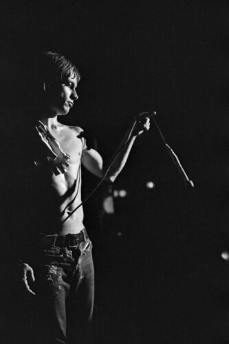 EC_IPS191: Iggy Pop & The Stooges