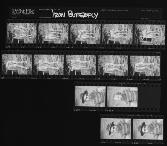 EC_IronButterfly_002 copy: Iron Butterfly