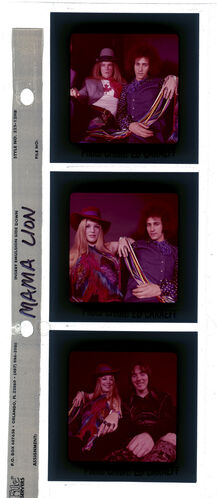 EC_MamaLion_001: Mama Lion