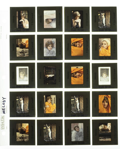 EC_Melody_004: Melody