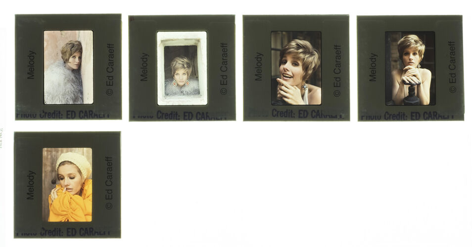 EC_Melody_005: Melody