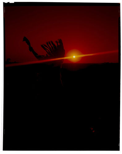 EC_Misc10x8_037: Ed Caraeff