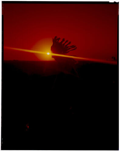 EC_Misc10x8_042: Ed Caraeff