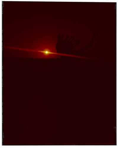 EC_Misc10x8_049: Ed Caraeff