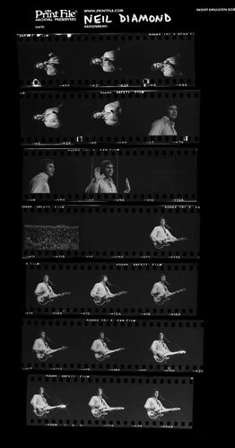 EC_NeilDiamond_111: Neil Diamond