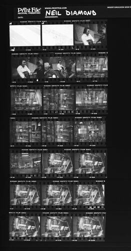 EC_NeilDiamond_113: Neil Diamond