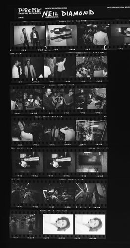 EC_NeilDiamond_115: Neil Diamond