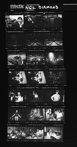 EC_NeilDiamond_116: Neil Diamond