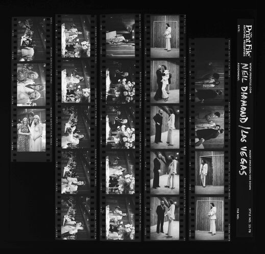 EC_NeilDiamond_210: Neil Diamond