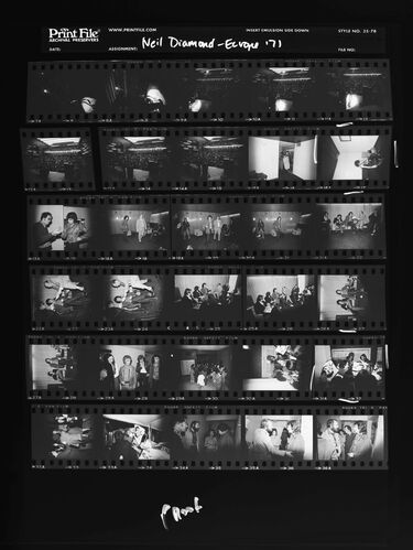 EC_NeilDiamond_291: Neil Diamond