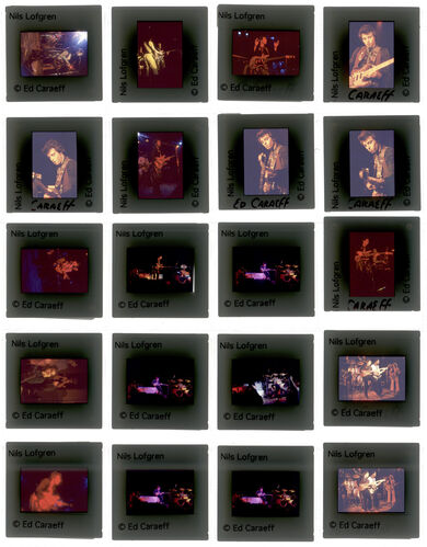 EC_NilsLofgren_016: Nils Lofgren