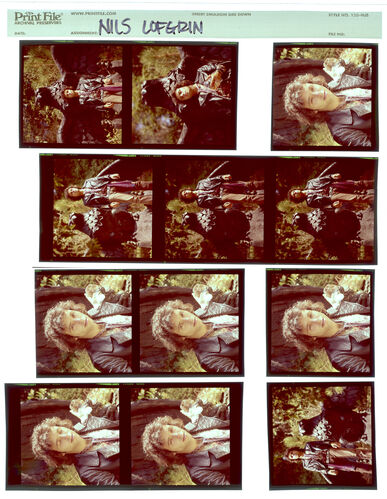 EC_NilsLofgren_042: Nils Lofgren