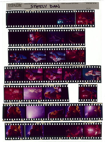 EC_SteelyDan_022: Steely Dan