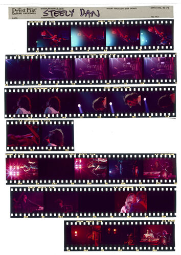 EC_SteelyDan_027: Steely Dan