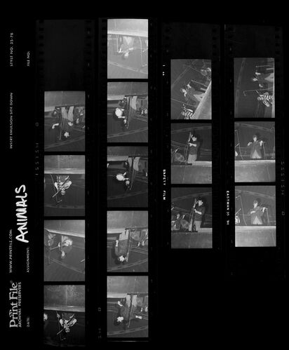 EC_TheAnimals_001: The Animals