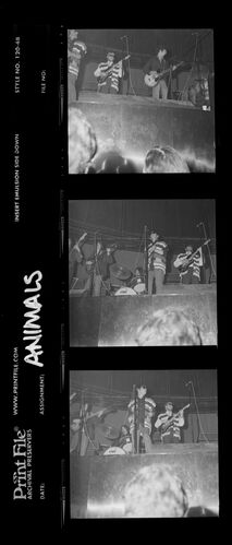 EC_TheAnimals_002: The Animals