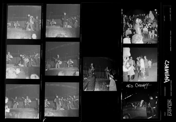 EC_TheAnimals_003: The Animals