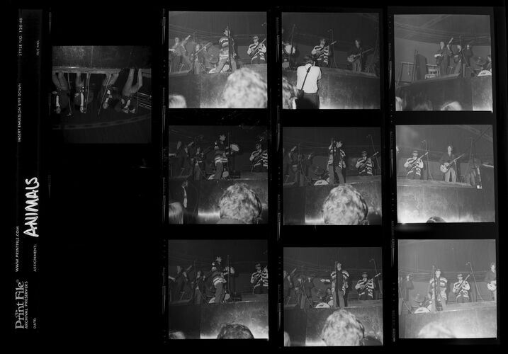 EC_TheAnimals_004: The Animals