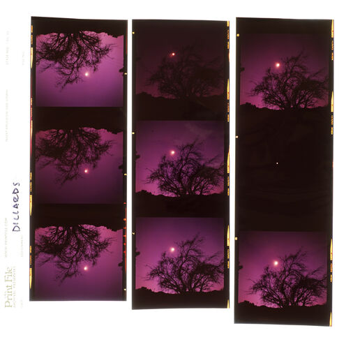 EC_TheDillards_007: The Dillards