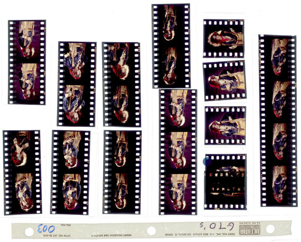 EC_TheGTOs_008: The GTOs