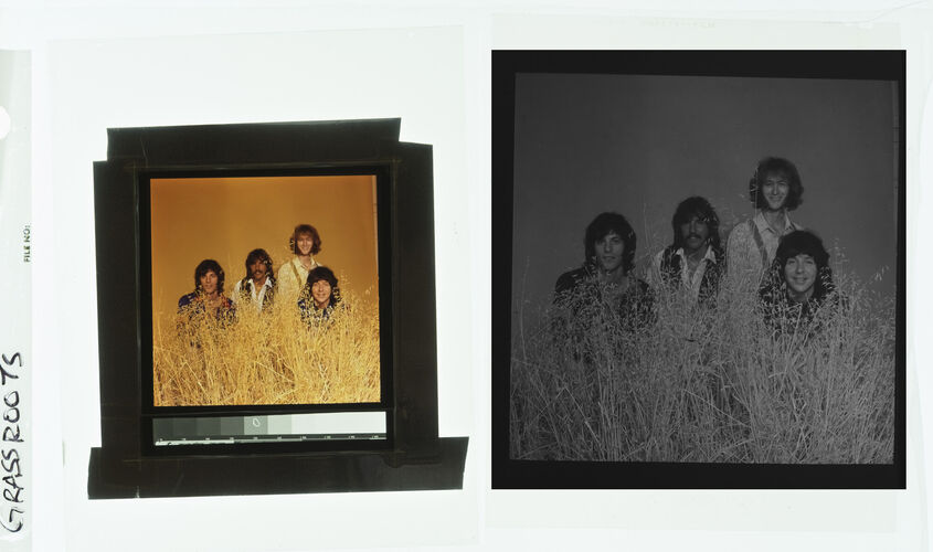 EC_TheGrassRoots_001: The Grass Roots