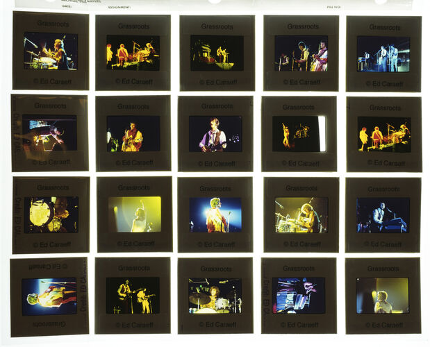 EC_TheGrassRoots_003: The Grass Roots