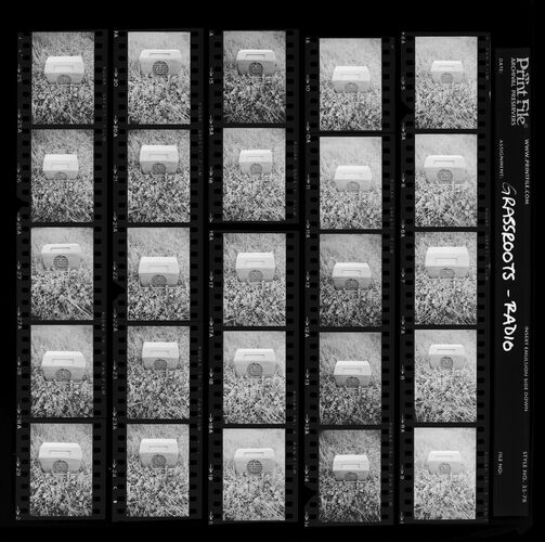 EC_TheGrassRoots_006: The Grass Roots