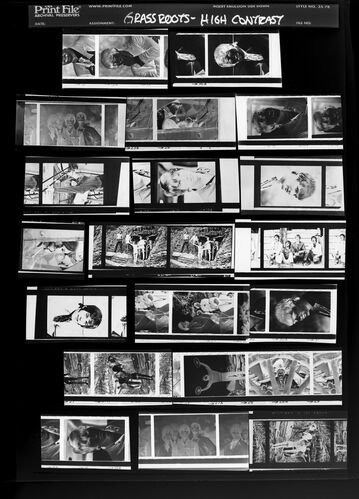 EC_TheGrassRoots_008: The Grass Roots