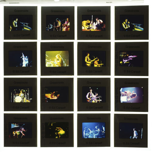 EC_TheGrassRoots_020: The Grass Roots