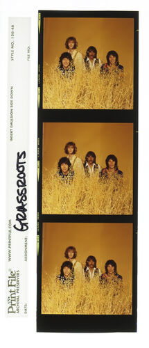 EC_TheGrassRoots_067: The Grass Roots